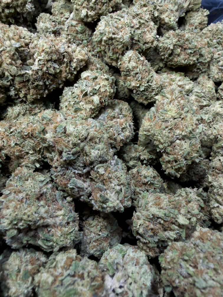 Pak Mule - Image 3