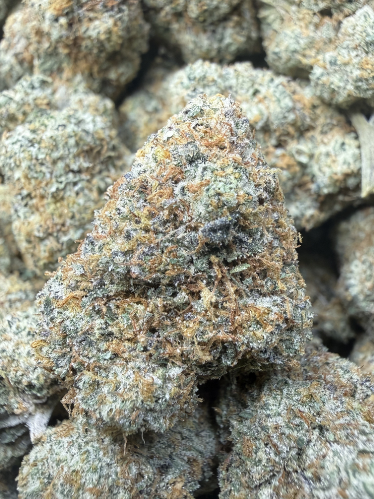 OG X GSC - Image 3