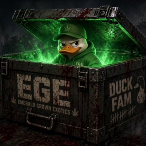 EGE Custom Mystery Box